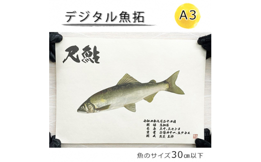 デジタル魚拓 A3サイズ オーダーメイド 和紙 フィッシング 釣り 魚拓