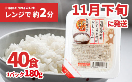 K1464 境町産こしひかり使用 低温製法米パックライス 180g×40個