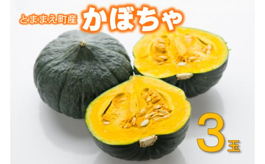 【令和5年産】北海道とままえ産かぼちゃ　3玉 265261 - 北海道苫前町
