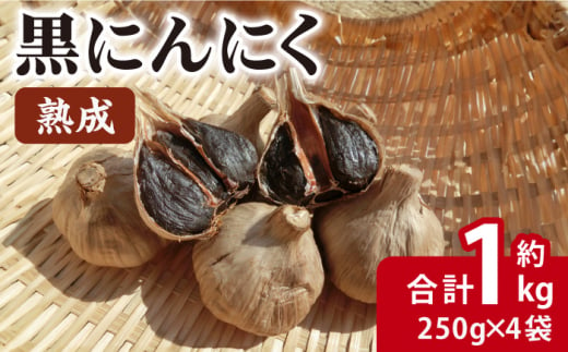 熟成 黒にんにく 合計約1kg（250g×4袋）/ 熟成 サラダ トッピング 隠し味 健康 / 大村市 / 株式会社三浦かんさく市[ACAE002] 1082830 - 長崎県大村市