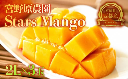 [糖度13度以上]厳選したスターズマンゴー2L×3個 宮野原農園の完熟マンゴー 産生産者直送[先行予約][2-78]宮崎マンゴー