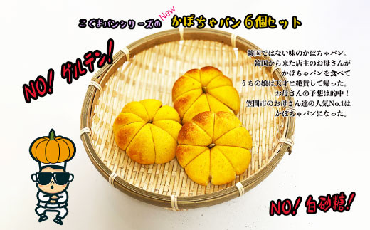 韓国大ヒット コグマパンシリーズ かぼちゃ×６個 1084571 - 茨城県笠間市