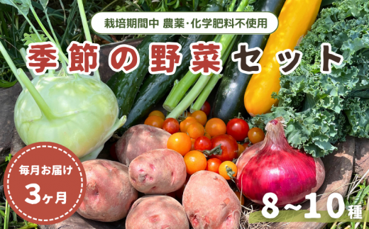 【毎月定期便3回】旬 季節の野菜セット (8~10種) 1104466 - 千葉県我孫子市