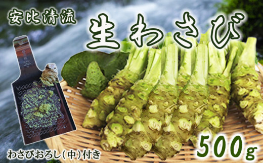 根わさび 真妻 200g (3～4 本) 山葵用おろし金付【葵食品】 生産者直送