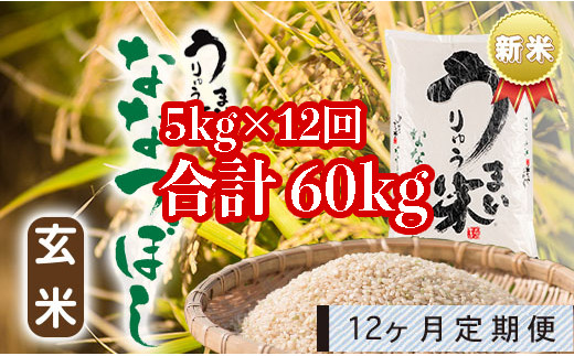 定期便】ななつぼし うりゅう米 5kg 毎月1回 12回お届け-