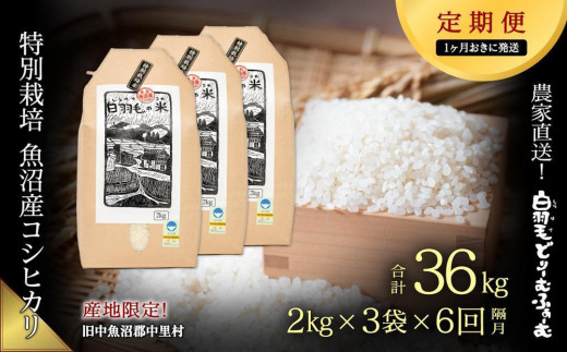 通年受付】≪令和5年産≫【定期便／1ヶ月おき全6回】農家直送！魚沼産