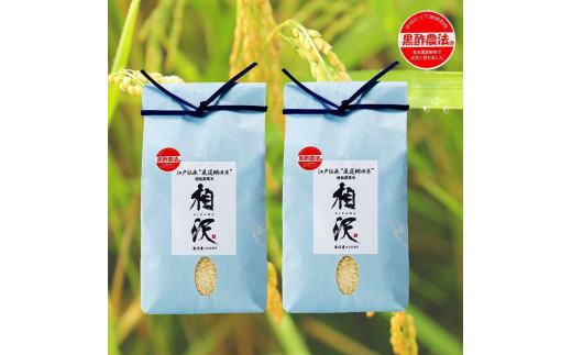 令和2年度産(古米)　魚沼産コシヒカリ　減農薬　低農薬　玄米　5キロ×2