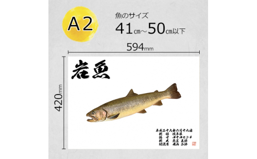 デジタル魚拓 A2サイズ オーダーメイド 和紙 フィッシング 釣り 魚拓