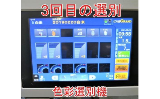 【定期便×6回】20kg 大手有名百貨店出荷米 あきたこまち 令和5年産米