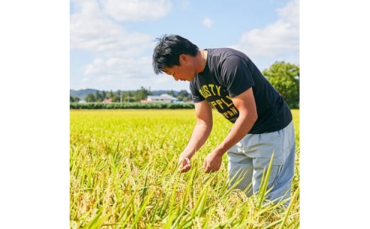 ＜毎月定期便＞山形県産米「雪若丸」5kg(5kg×1袋)全6回【4003473】