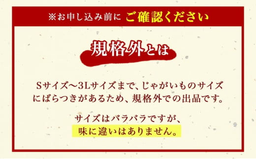 北海道産 じゃがいも きたあかり 10kg 規格外 訳あり S-3L サイズ混合