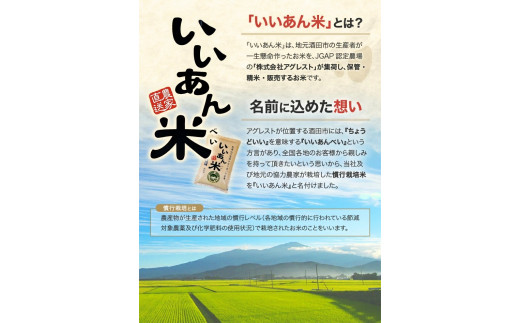 SF0111　【6回定期便】無洗米 6銘柄食べ比べ　5kg×6回(計30kg)　はえぬき、ひとめぼれ、ミルキークイーン、コシヒカリ、雪若丸、つや姫 AG