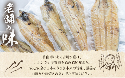 6カ月定期便】高知県産鰻の白焼き180～210ｇ×2尾 合計12尾 エコ包装