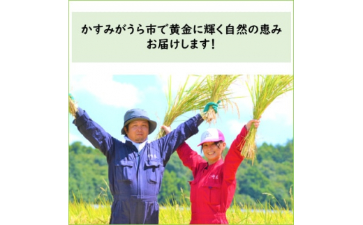 2023年12月発送開始『定期便』お米ソムリエ厳選!茨城県産コシヒカリのお米20kg 全12回【5154869】|豊﨑屋