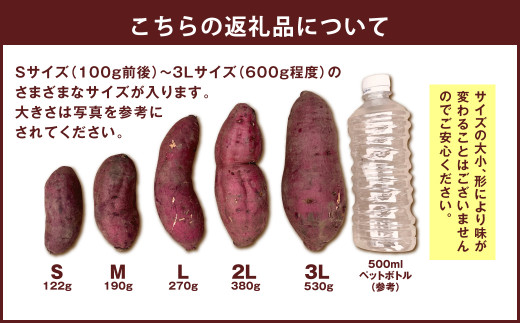 農園直送 福岡県産 紅はるか 10kg べにはるか さつまいも サツマイモ