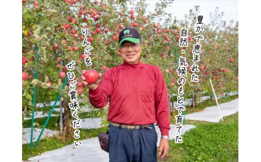 【 1月発送 】ヒバリノ園 サンふじ 約 5kg （14～18玉）青森県鰺ヶ沢町産 りんご 果物 フルーツ デザート シャキシャキ ※オンライン決済のみ 2147058 - 青森県鰺ヶ沢町