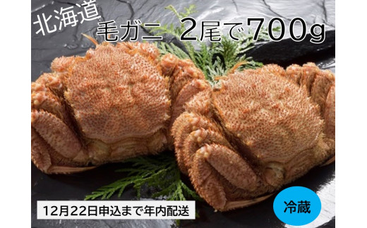 先行予約＞かに 三陸産浜ゆで毛ガニ 約500g [村東商店 宮城県 気仙沼市