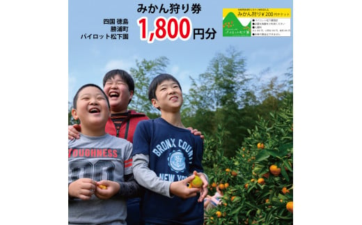 パイロット松下園 みかん狩り券 1800円分 1085006 - 徳島県勝浦町