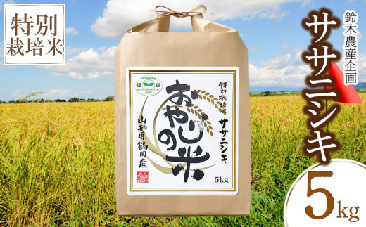 令和5年産 新米】おやじの米 特別栽培米 ササニシキ 5㎏ 山形県鶴岡産