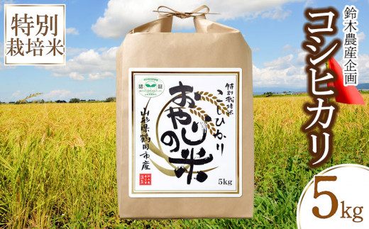 [令和5年産 ] おやじの米 特別栽培米 コシヒカリ 白米 5kg 山形県鶴岡産 鈴木農産企画