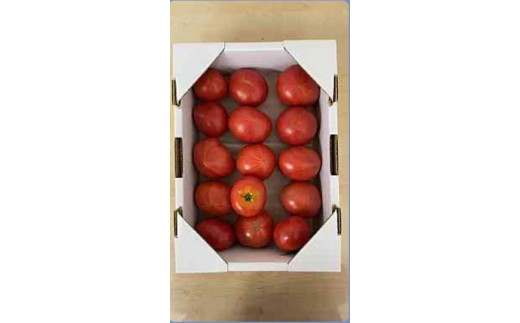 高知市産　ご家庭用フルーツトマト約1kg 1080526 - 高知県高知市