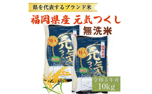 令和5年産 福岡県産 ブランド米「元気つくし」無洗米 5kg [a0256] 株式