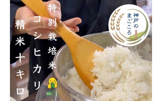 特別栽培米　神戸のまごころ　コシヒカリ 精米　10kg（5kg×2袋） 1083776 - 兵庫県神戸市