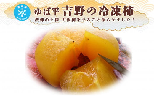 ゆば平　吉野の冷凍柿 1126520 - 奈良県五條市