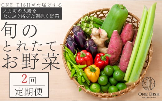 【年2回】大月町産 旬のとれたてお野菜定期便 1077345 - 高知県大月町