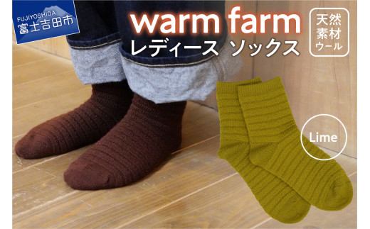 光吸収発熱ウール「ウォームファーム ソックス」ライム