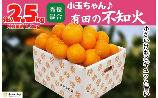 有田の不知火 小玉ちゃん 箱込 2.5kg (内容量約 2.3kg) 秀優品混合