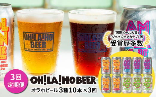 【3回定期便】オラホビール3種飲み比べ10本セット 833101 - 長野県東御市