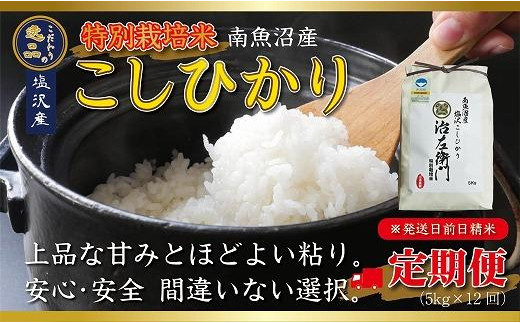 令和5年産 特別栽培米】南魚沼産コシヒカリ【定期便12ヵ月】（5kg×12回