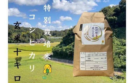 特別栽培米　神戸のまごころ　コシヒカリ 玄米　10kg（5kg×2袋） 1083777 - 兵庫県神戸市