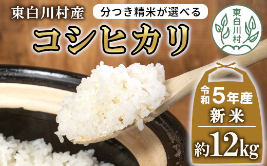 新米 岐阜県産 玄米 コシヒカリ 令和5年度産-