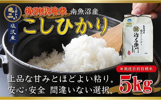 令和5年産特別栽培米】南魚沼産コシヒカリ5kg【塩沢地区】 1083683