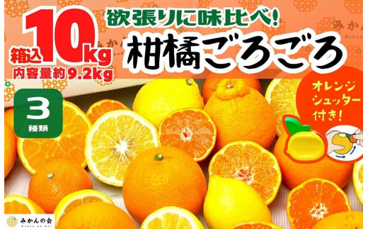 柑橘ごろごろ 3種 箱込 10kg(内容量約 9.2kg) 秀品 優品 混合 和歌山県産 産地直送 【おまけ付き】【みかんの会】