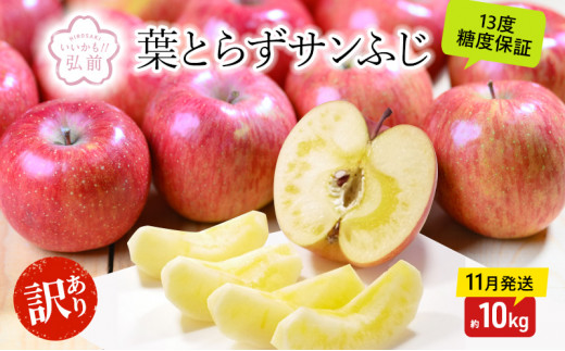 蜜入り！青森県産りんご葉とらずサンふじ家庭用10キロ