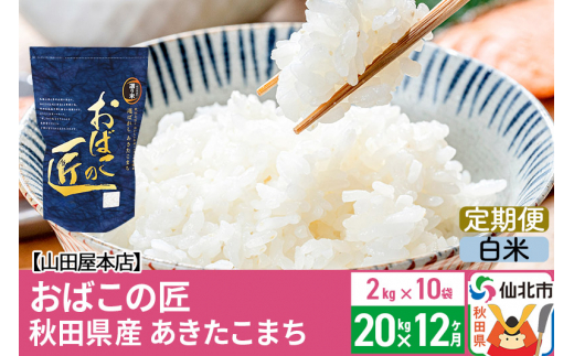 白米】《定期便12ヶ月》令和5年産 新米 仙北市産 おばこの匠 20kg×12回