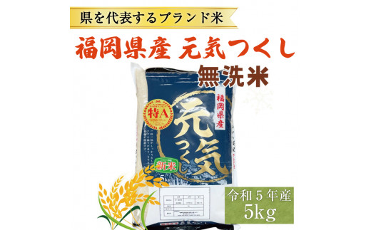 令和5年産 福岡県産 ブランド米「元気つくし」無洗米 5kg [a0256] 株式