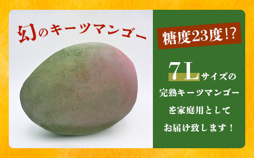 《2024年7月下旬～8月下旬発送》最高糖度23度！？ 完熟！7Lサイズ お得な幻のキーツマンゴー【家庭用】【 沖縄 石垣島 石垣 八重山  マンゴーキーツマンゴー 期間限定 沖縄県 石垣島産 完熟 】TF-3