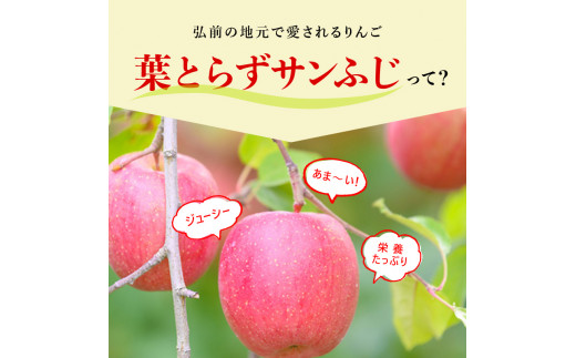 12月発送】（蜜入り・13度糖度保証）訳あり家庭用葉とらずサンふじ約