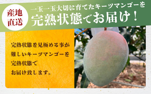 《2024年7月下旬～8月下旬発送》最高糖度23度！？ 完熟！7Lサイズ お得な幻のキーツマンゴー【家庭用】【 沖縄 石垣島 石垣 八重山  マンゴーキーツマンゴー 期間限定 沖縄県 石垣島産 完熟 】TF-3