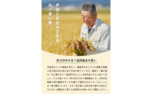 令和5年産米】2024年5月下旬発送 はえぬき20kg （5kg×4袋）山形県産