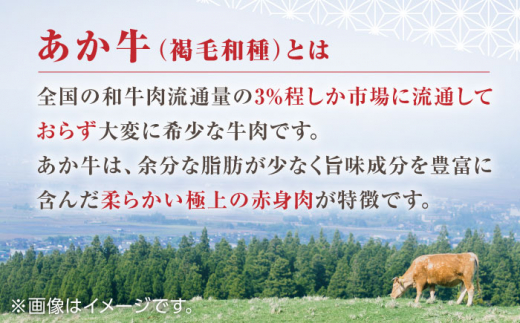 全12回定期便】熊本県産 あか牛 極 ビーフシチューセット 2パック