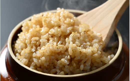 令和5年産】特別栽培米 ミルキークイーン 玄米 10kg ／ 農薬不使用