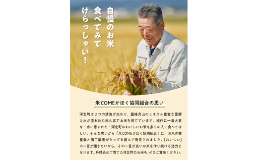 【令和5年産米】※2024年3月下旬スタート※ 特別栽培米 つや姫60kg（20kg×3ヶ月）定期便 山形県産【米COMEかほく協同組合】