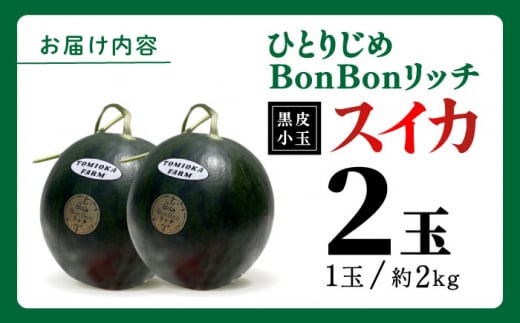 数量限定】【先行予約】ひとりじめBonBonリッチ～黒皮小玉 スイカ 2玉～【とみおか農園】西瓜 小玉すいか くまもと 果物 [ZEM002] - 熊本県山鹿市｜ふるさとチョイス  - ふるさと納税サイト