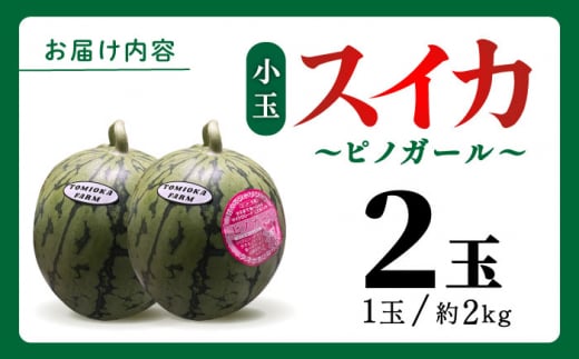 先行予約】【数量限定】種ごと 食べられる 小玉スイカ 2玉 ピノガール