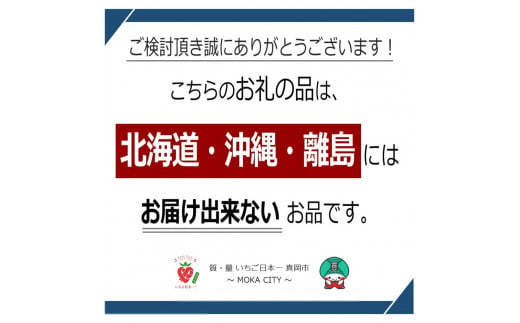 いちご とちおとめ・とちあいか 1.1kg 食べ比べ セット | いちご日本一 ...